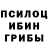 Галлюциногенные грибы Cubensis Gorgonii