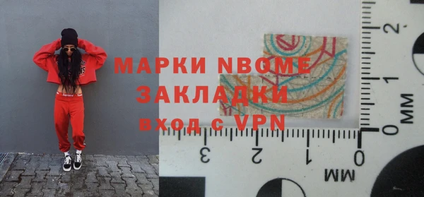 индика Абинск
