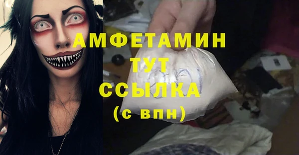 индика Абинск