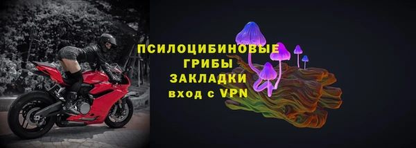 индика Абинск